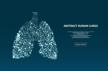 Abstract human lungs