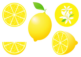 レモンのフルーツカットと花のセット