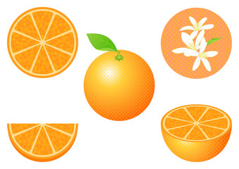 オレンジのフルーツカットと花のセット