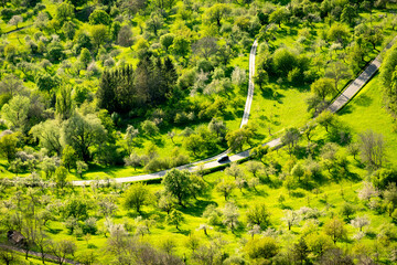 Cars driving through Green Meadow Orchards in Springtime