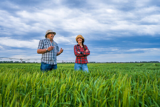Proud two generations farmers are standing in their barley field and examining crops. Senior man is teaching his successor about the farming.