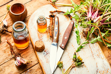 Dandelion root in herbal medicine,wooden table © nikolaydonetsk