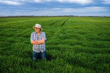 Naklejka na ściany i meble Proud senior farmer is standing in his barley field and enjoying sunset.