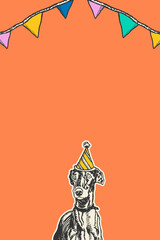 Cute birthday orange background with vintage greyhound dog in party cone hat