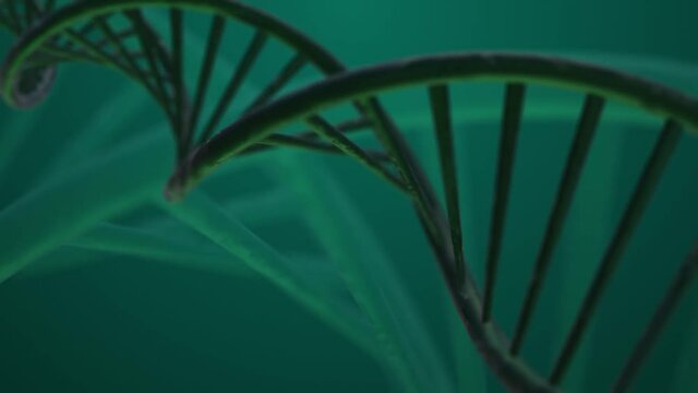 DNA 3d animation video stock footage