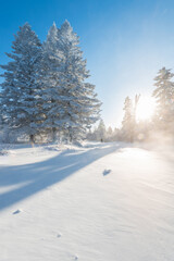 Snow and rime in winter in Changbai Mountain, Jilin Province, China