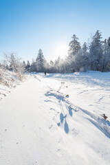 Snow and rime in winter in Changbai Mountain, Jilin Province, China