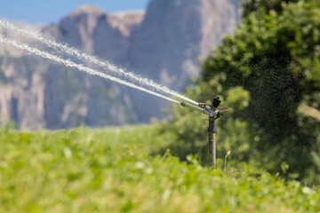 Fototapeta na wymiar Bewässerung in Südtirol