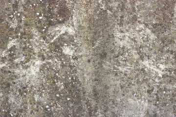 A flat grey concrete surface with a few spots of white lichen