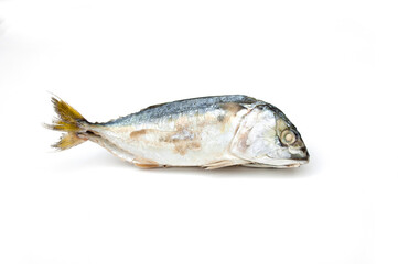 Steamed mackerel on a white background.