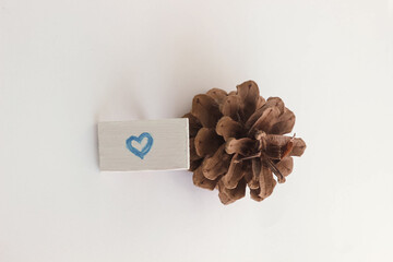 Handmade painted ring near pine cone, isolated heart shaped jewelry near fir cone on white background, love concept