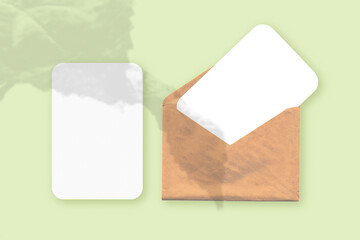 Mockup with an overlay of plant shadows on envelope with two sheets of textured white paper on a green table background. Horizontal orientation