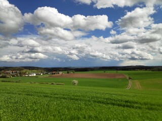 Naklejka premium A landscape scene taken from a hilltop in Bavaria, Germany