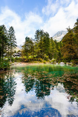 Fototapeta premium Autumn forest are reflected in the lake