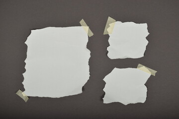 Set of torn ripped paper sheets with sticker