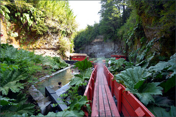 Geometric  Hot Springs,  Villarica, Chile