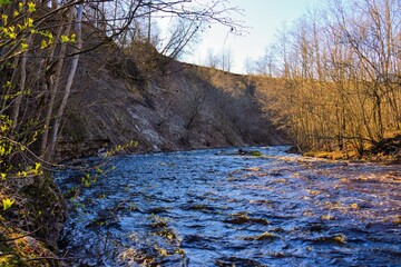 landscape, forest and a river in front. beautiful scenery