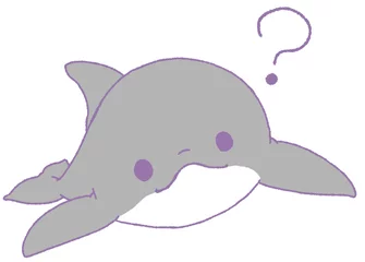 Foto op Plexiglas こちらを向いて首を傾げるイルカ（灰色） © ゆの 朔