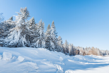 Snow and rime in winter in Changbai Mountain, Jilin Province, China