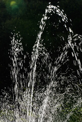 Close-up of fountain water spraying.