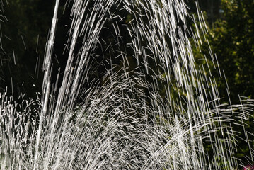 Close-up of fountain water spraying.