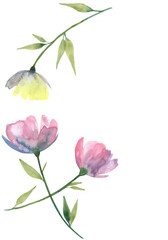 Loose watercolor flowers. hand drawn illustration.