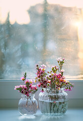 beautiful floral composition with pink flowers chamelaucium in vase. gentle romantic spring season.