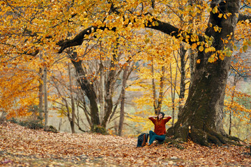 woman in autumn forest sitting under a tree landscape yellow leaves model