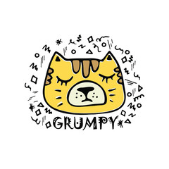 Cute doodle cat head in color, grumpy cat, funny flat hand-drawn cat characters, animal face with doodles around, childish style, design for kids, funny kitty
