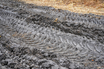Muddy tire tracks in the middle of woodland