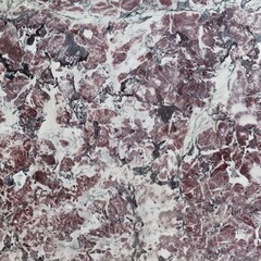 Breccia Capraia Marble Stone Texture