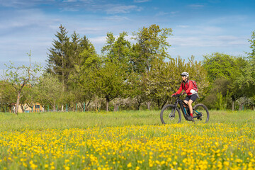 nice senior woman on electric bicycle in a meadow with yellow blooming spring flowers near...