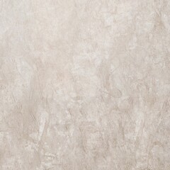 Thala Grey Limestone Texture