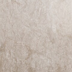Thala Grey Limestone Texture