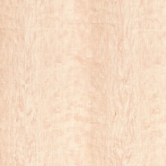Maple Oiled Wood Texture