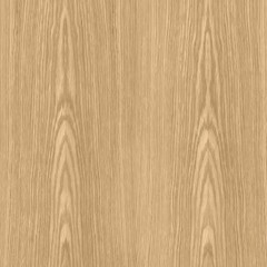 Oak Natural Wood Texture