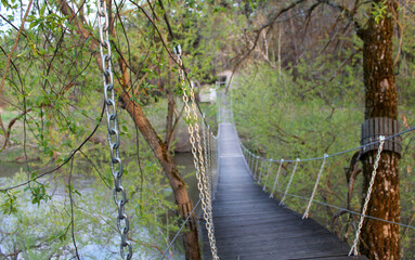 Fototapeta premium Wooden suspension bridge over the river. Young leaves on trees, image of the awakening forest, spring landscape.