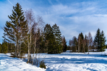 verschneites Hochmoor in Oberbildstein, Vorarlberg, mit Birken, Fichten und Tannen, Spuren von Wildtieren und Schneeschuhwanderern im Schnee. Snowshoe hiking in high moor