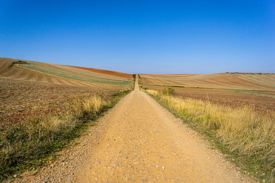 Open Pilgrim route along Camino de Santiago in Spain at autumn season. A group of pilgrims walking  along wheat fields and vinyards with soil after the harvest. 4x3 ratio, 6000 by 4000 pixels