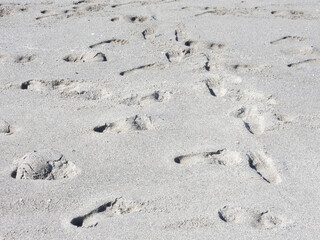 Footprints of bare feet on wet sand on a mediterranean beach on a sunny day