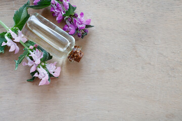 Lamium maculatum essential oil (extract, infusion) bottle withj fresh Lamium maculatum pink and violet flowers on wooden background