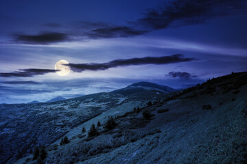 hills of the petros mountain in summer at night. wonderful nature scenery of carpathians in full moon light