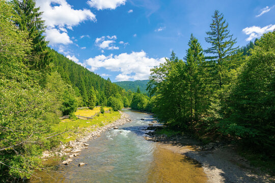 river in the valley of carpathian mountains. beautiful countryside scenery. rural fields on the shore. bright blue sky with fluffy clouds