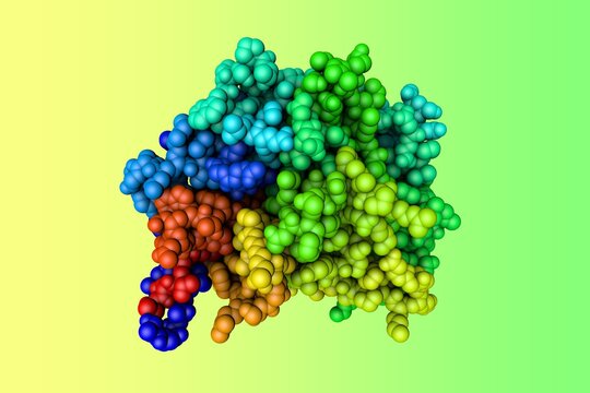 Space-filling Molecular Model Of The Measles Virus Hemagglutinin. Rendering Based On Protein Data Bank Entry 2rkc. Rainbow Coloring From N To C. 3d Illustration