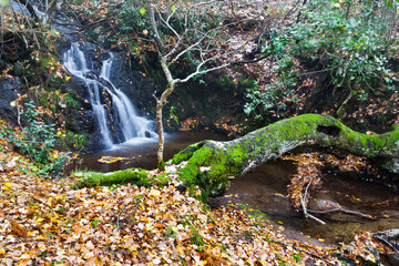 Arroyo de la Dehesa en la Sierra de Guadarrama. España. Europa.