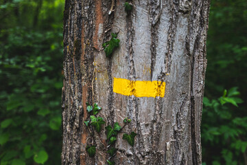 yellow sign painted on a tree