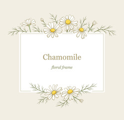 Chamomile flowers frame, line art drawing. Daisy wild flowers in gentle pastel colors. Floral vector rectangular border
