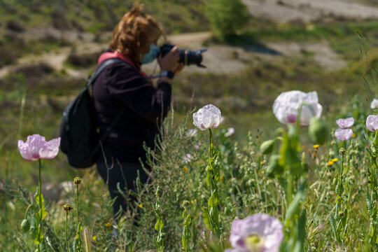 Paseo fotogr&aacute;fico