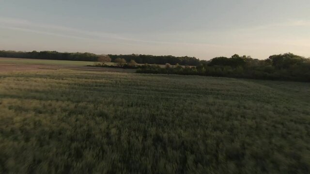 Vol en drone FPV au dessus des champs et entre les arbres