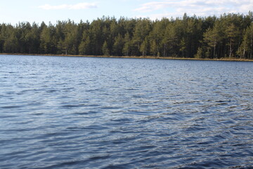 lake in the forest